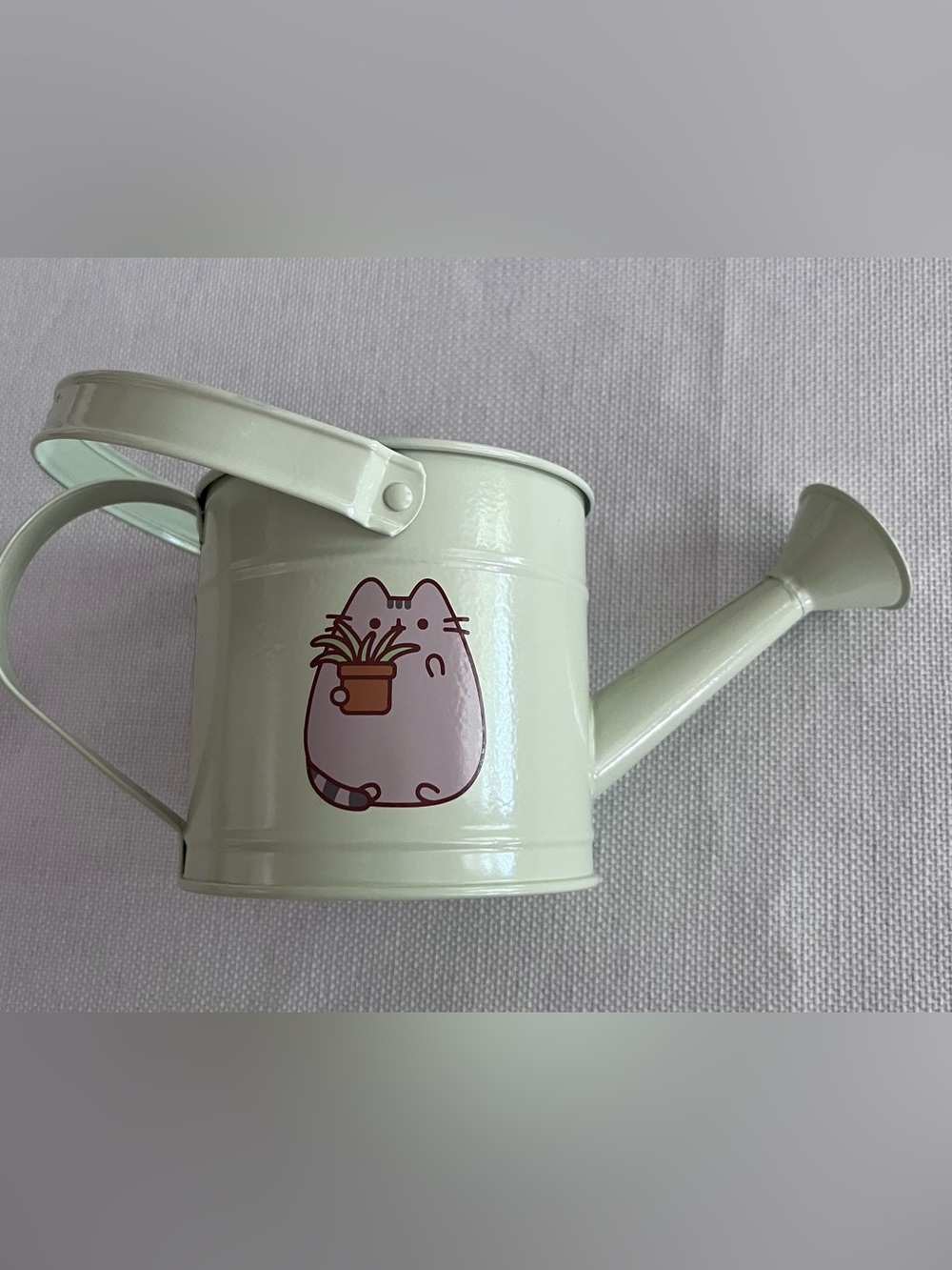 Pusheen Light Green Watering Can